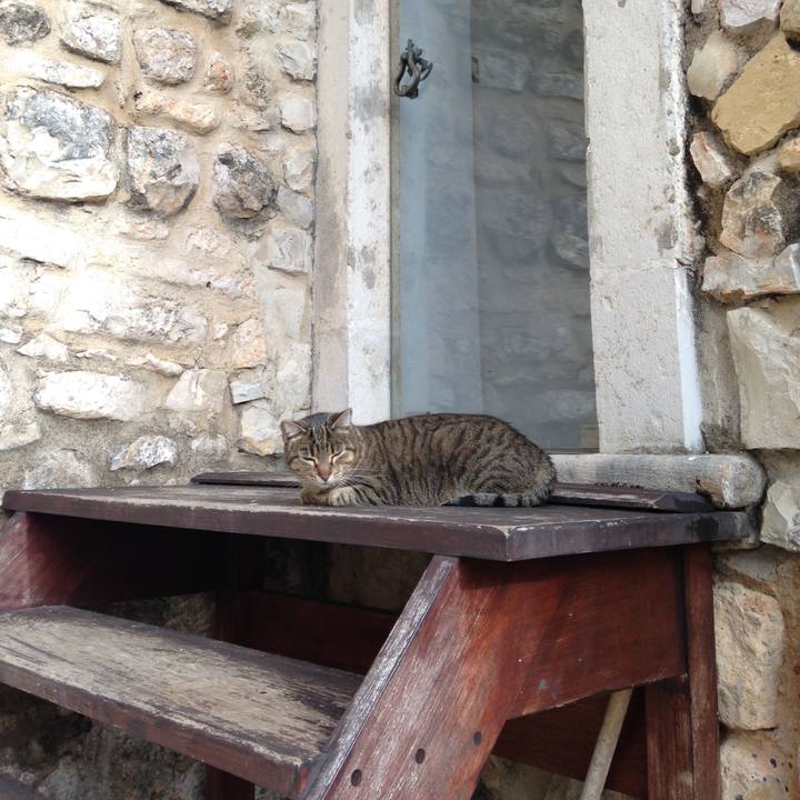 C7fec0a7 fec4 4fad 8671 77f4f0eeab73