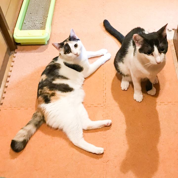 C8004945 226d 4b6a ac86 8d5dca0c58c7