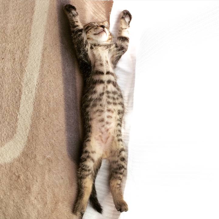 C8007b3a 2518 4b46 9a50 06806b973801