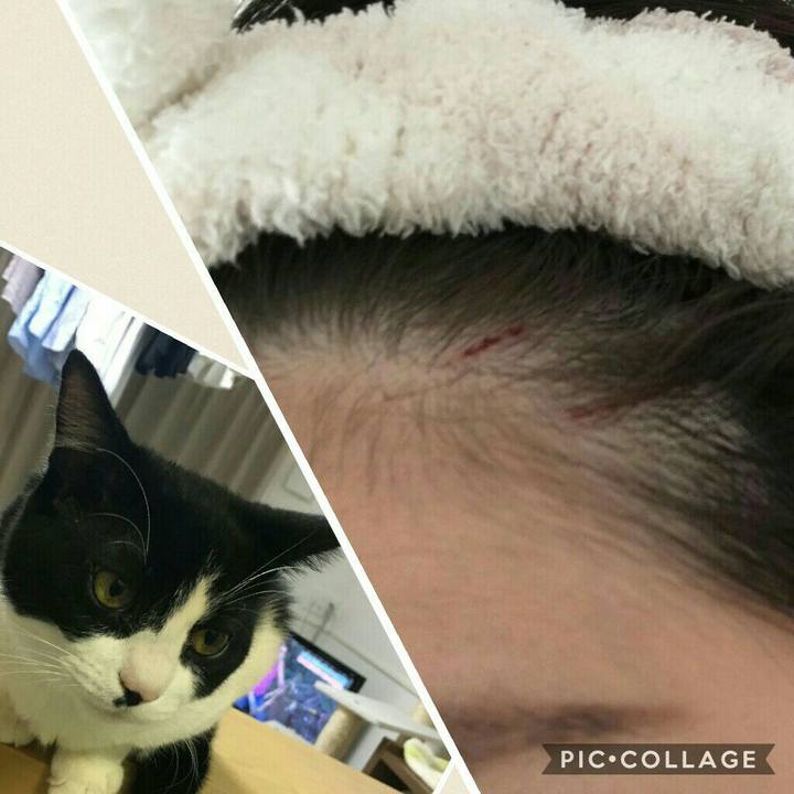 C8018b61 c4f9 4984 b903 e767f9845112