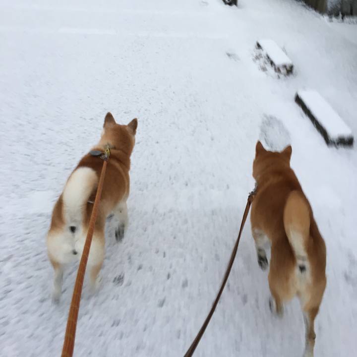 C8029d92 4576 48c6 b1b3 ec0537bc584a