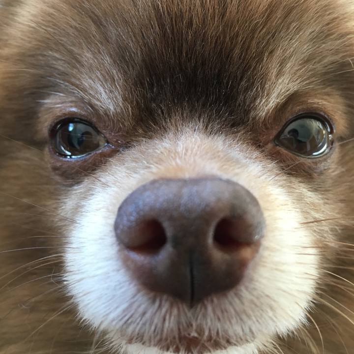 C80414e6 49a5 4330 b2bc 37076429d422