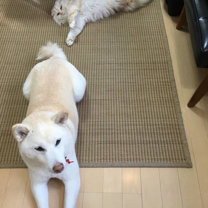 C8041b3e 6167 4d74 9352 4c1f32cfab9c