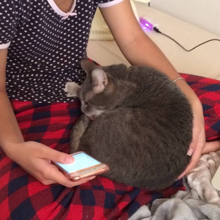 C8050d0a 71e7 4ac8 9f6f d3870af04cc5