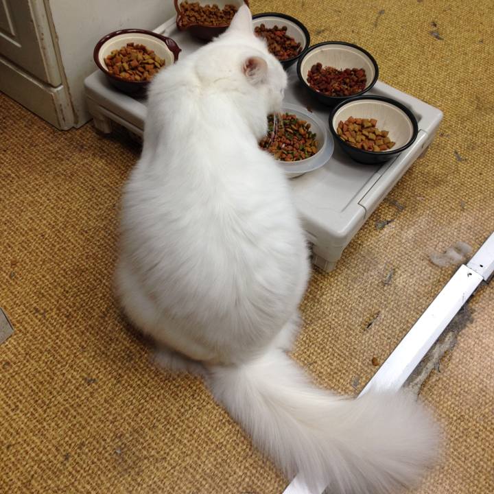 C805c0e6 9a22 42e7 823e d4a34ef23eb6