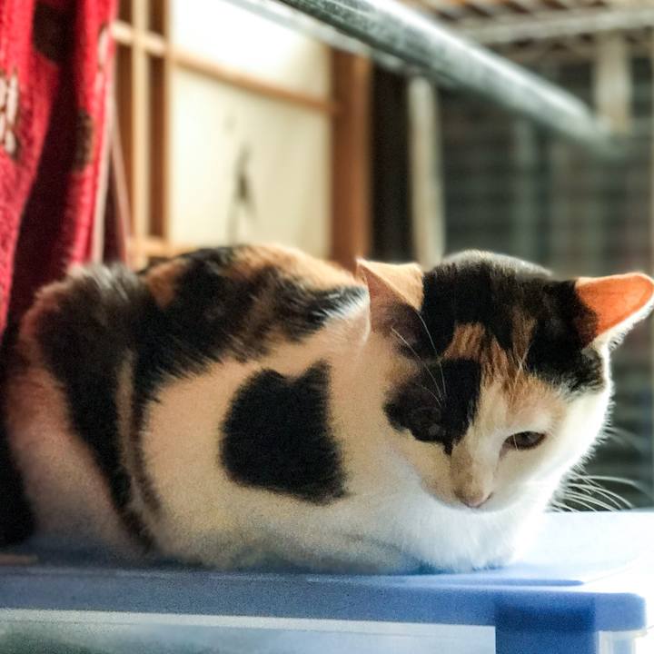 C806c59b 7719 4cc4 aa68 1cc95087cec4