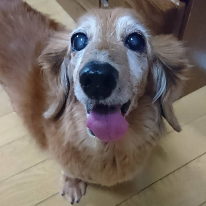 C806ca2d 0139 4ffd 9bc4 c3844b19554a