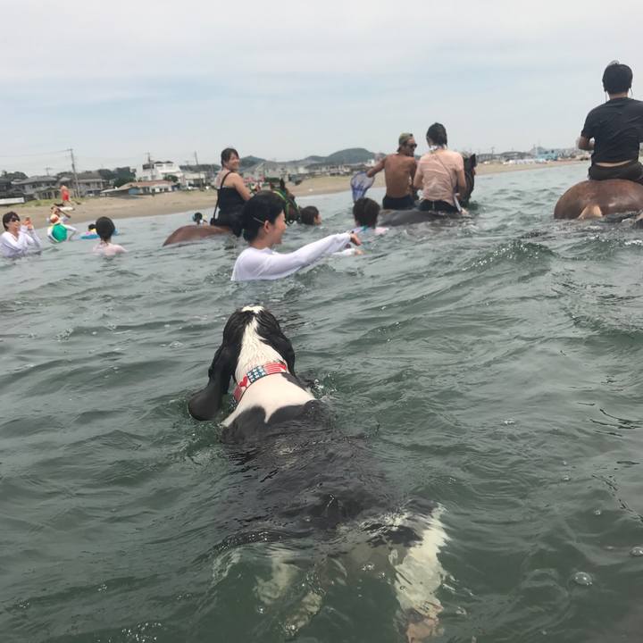 C8075e00 85d9 4e17 ac69 c026d3e01f8d