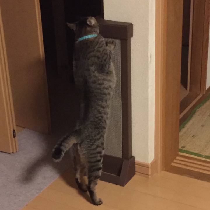 C807b739 70a5 44fb a78a 01a1f344cc84