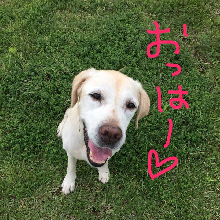 C807c48c bb62 4914 9eea f0e90bf41589