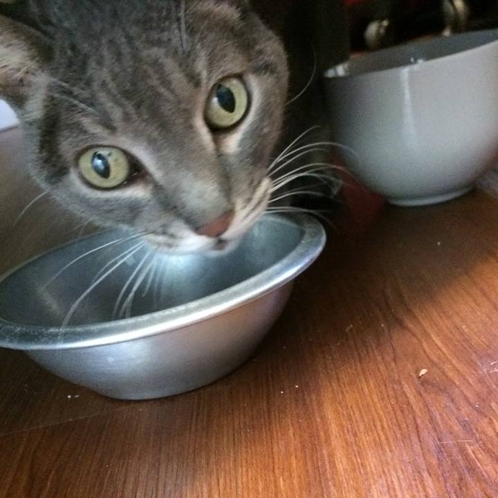 C8095fb2 b117 4b04 9272 99c33700269f