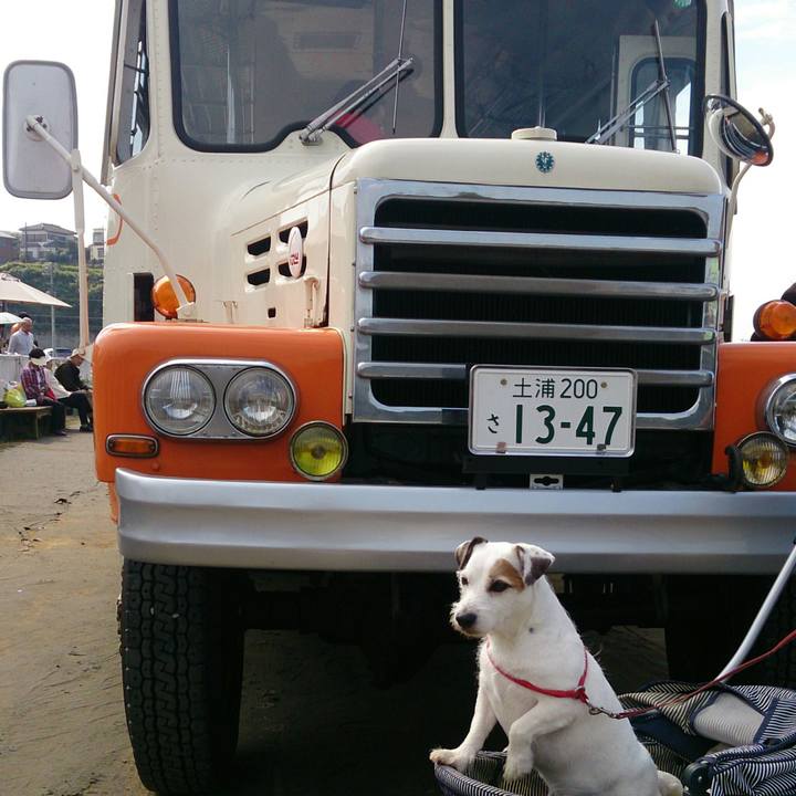 C8099b1f c8b5 4137 9e4b e71d977b90f0