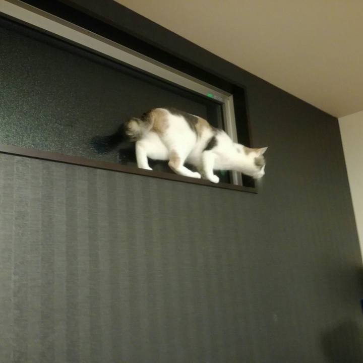 C809b09c 2fa5 4316 97fa dba20003251f