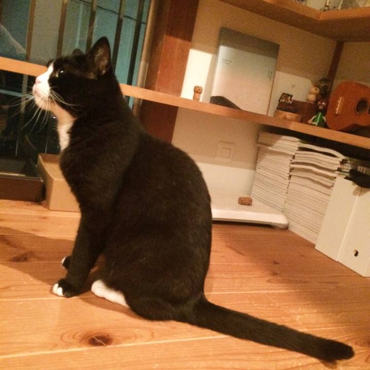 C80ad66c 1bdb 4efd ab6f bf4a26b27c63