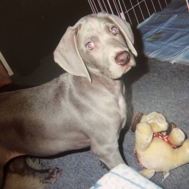 C80b5dbe 35fe 4f03 bc75 8dd721ab8745