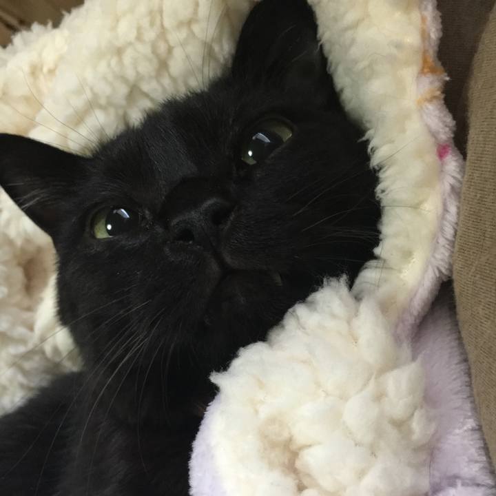 C80be57b 71be 4f24 8c80 a3a446ece501