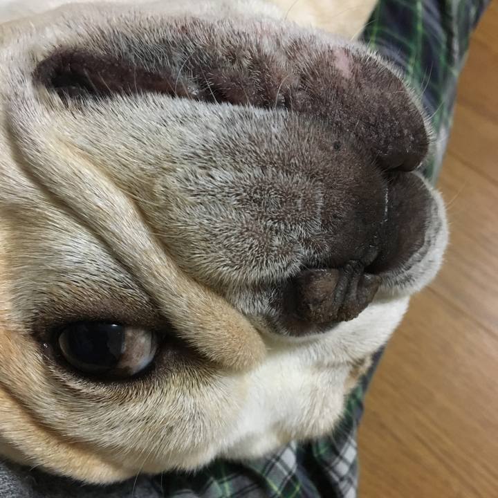 C80bec63 b5f3 4691 99fb 4aa6ff8c5300