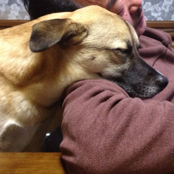 C80cab2b 796a 466c 83c3 132783b503a5