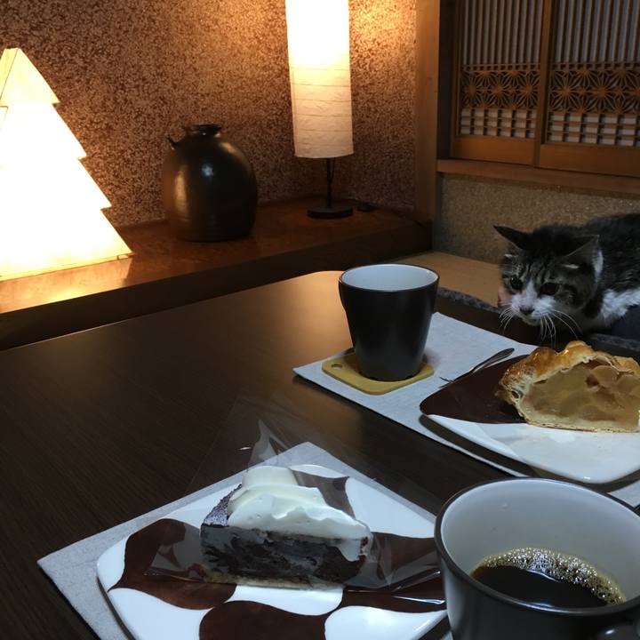 C80cbe81 1690 4723 8b54 e45212ec4f68