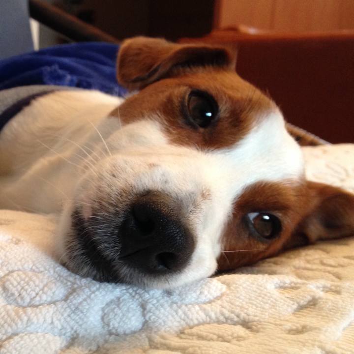 C80cdc58 ad57 4596 b6a4 ab326c453093