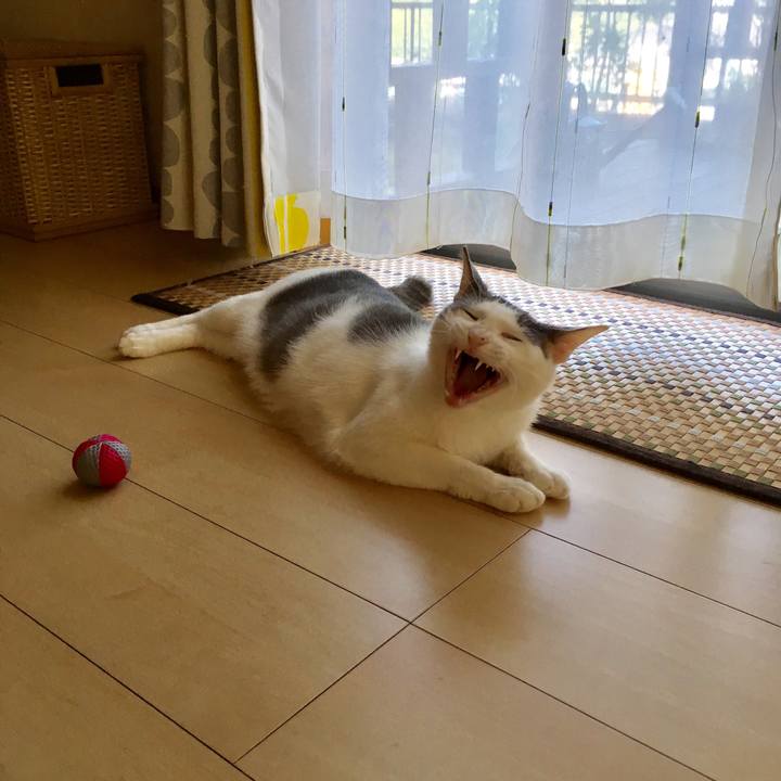 C80d7870 821a 4e2b 826e b1edd04b97f6