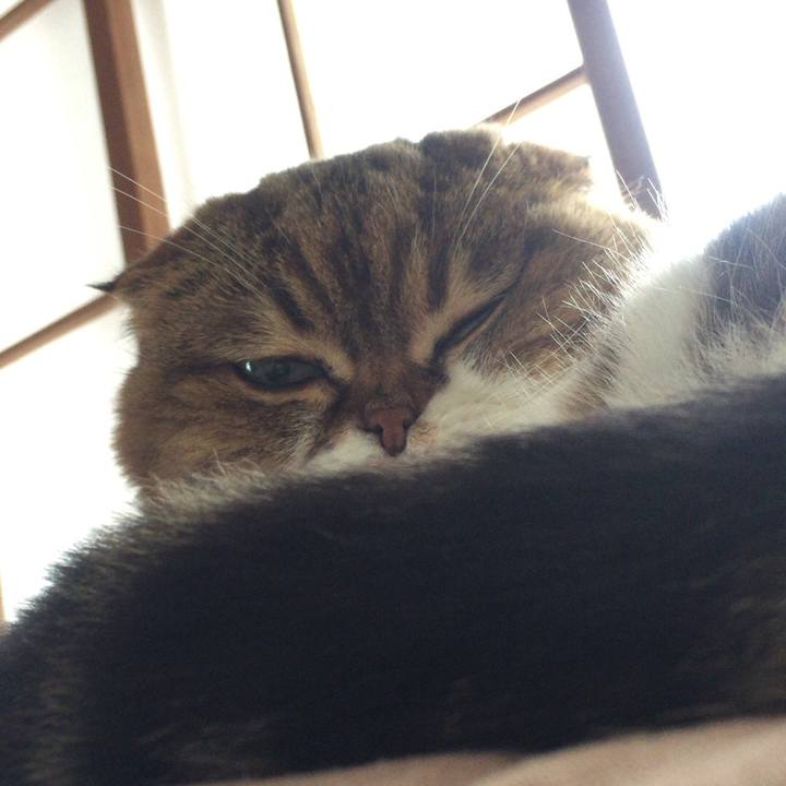 C80da19f 5ceb 4c11 8fbe a449fe5cceb6