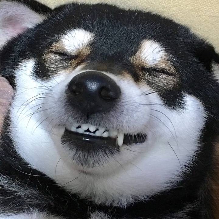 C80df204 a12c 49aa b319 f6bb4a9989c3