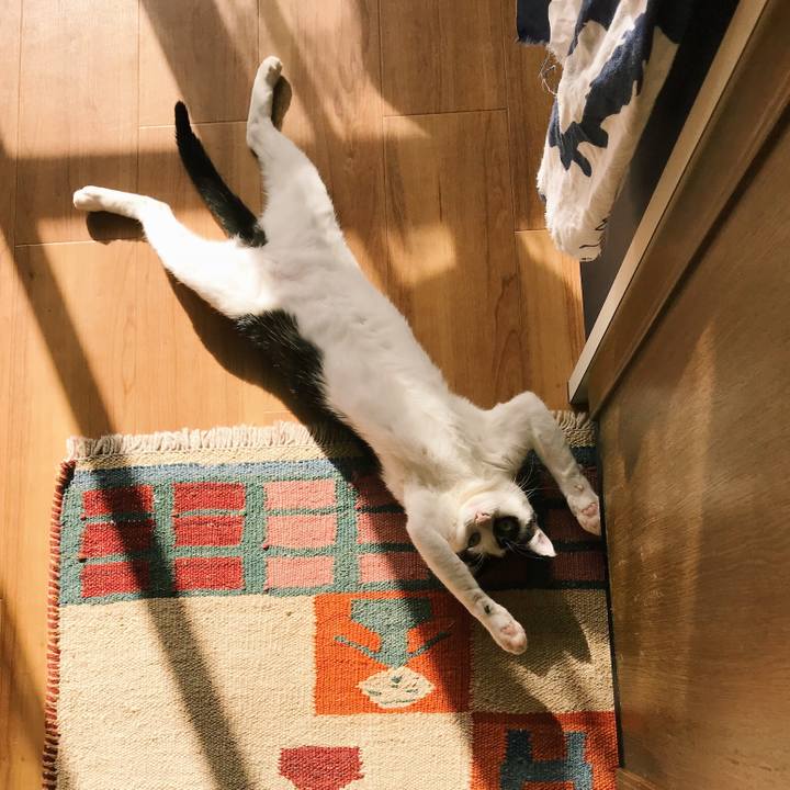 C80e8243 9a26 43a9 b8e0 9bae0e782e22