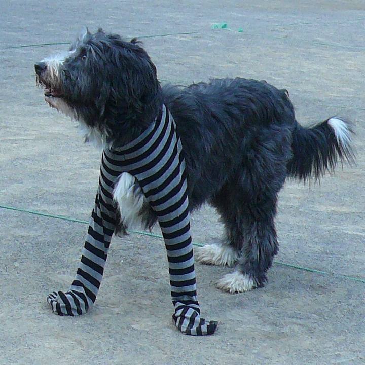 C80e8d8d 8e45 4730 a1b5 988ff1e3be61