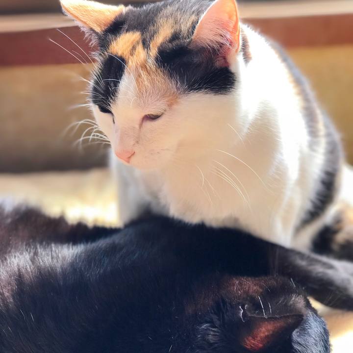 C81005c9 9137 4bc9 973b 9be8b347aba7