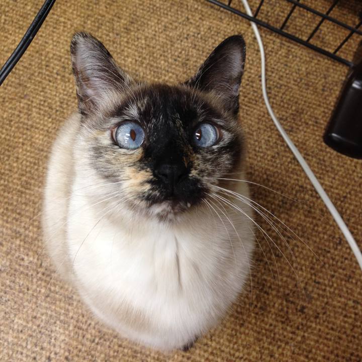 C8100c2a 94ed 48b1 9ad6 a39cfb5ba99f