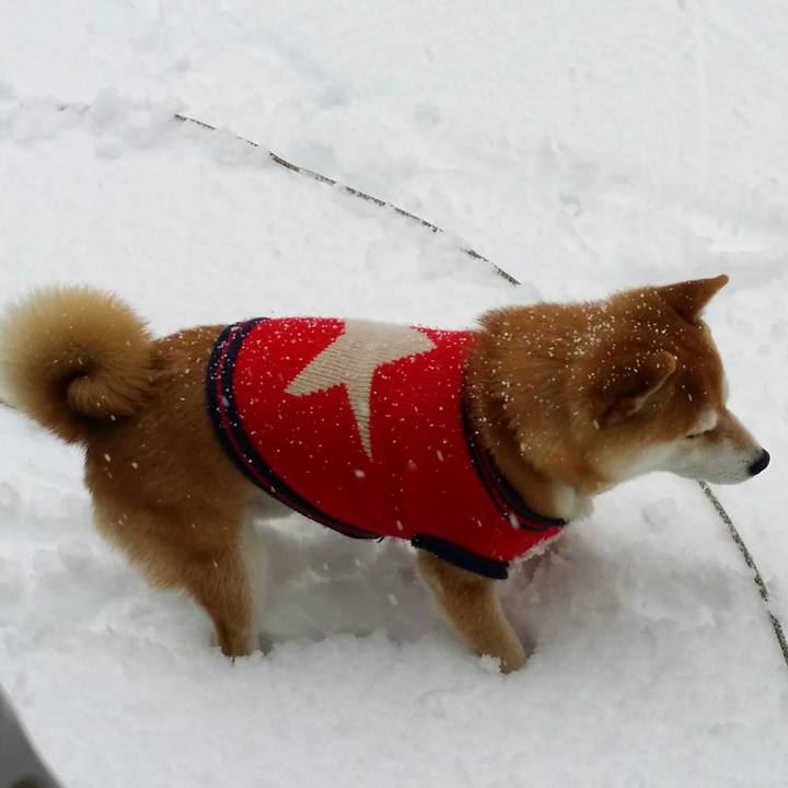 C81016c1 6e21 42ab 9c8f 62907f43b37f