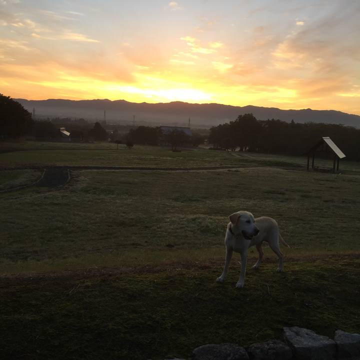 C811b4e2 9ba1 4570 b0aa f32b80872398