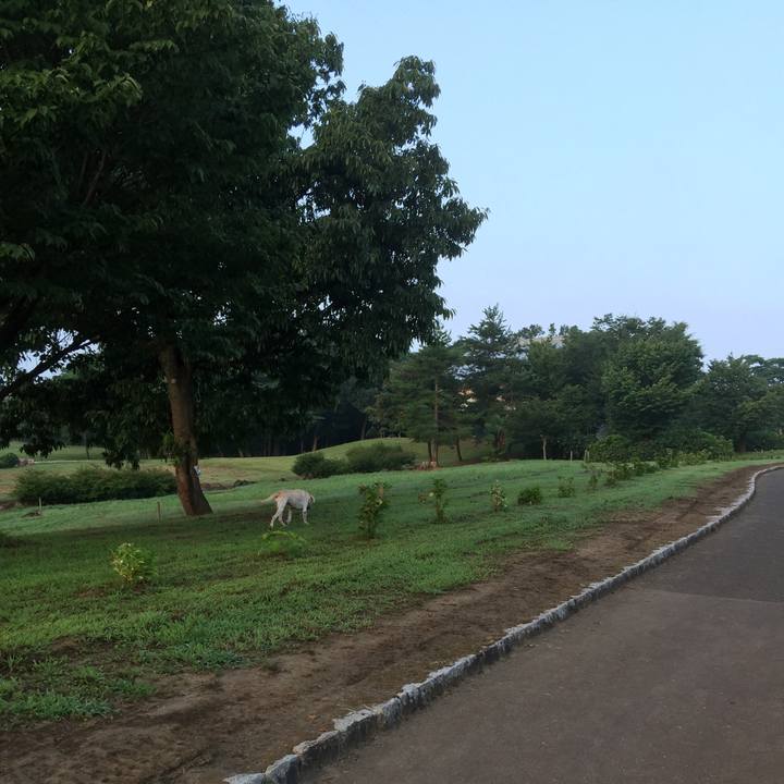 C8129c23 6c15 4a2b b1cf 210bdcc4c757