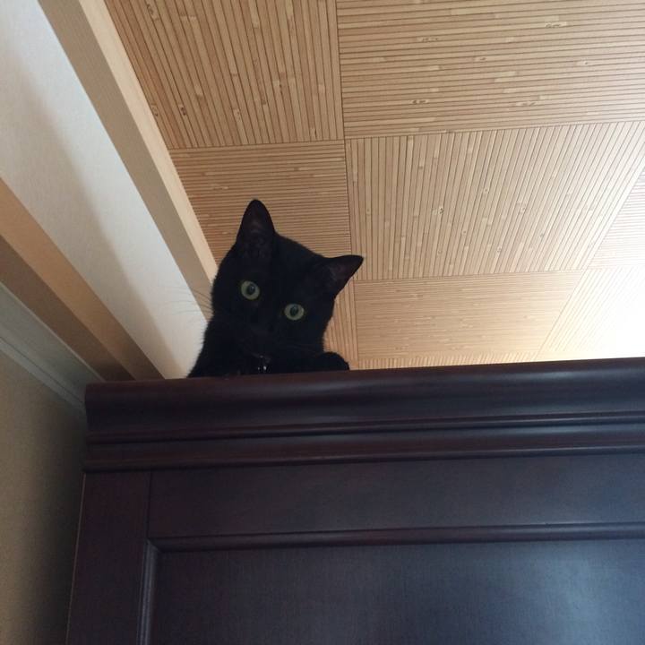 C812e723 9aab 4854 89a8 25853d27e765