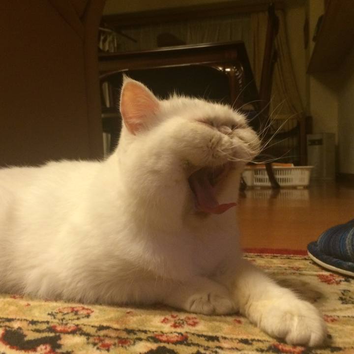 C812f22e 1880 4d09 8b20 a5504cd10b84