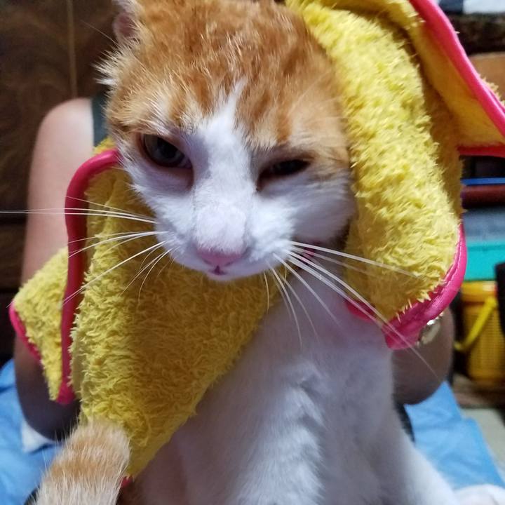 C8135815 eff2 4870 83cb 80f87b09f789