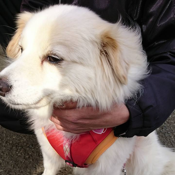 C81379c3 705d 4f04 b3e1 95bcc090c9a2