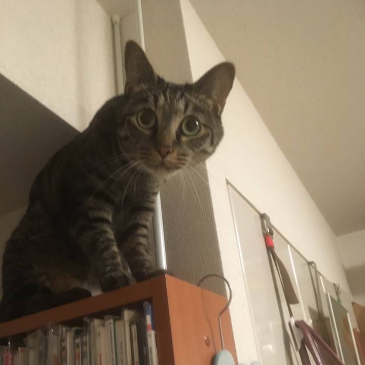 C8138734 1407 414f ab75 1485f4714db2