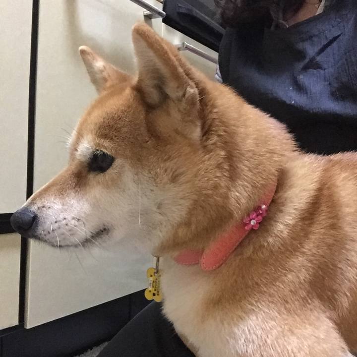 C81407e6 9ae5 4f85 8a1f 2e04981201dc