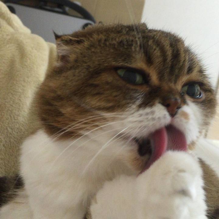 C8144be4 3a4e 439e ab2e 3ba068b13a44