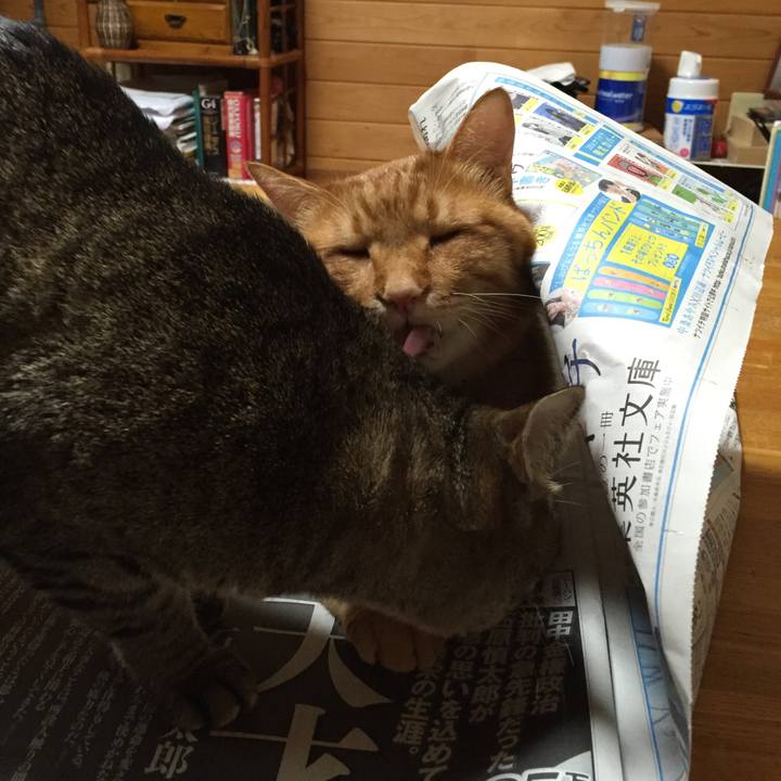 C814e898 92b8 4066 b25e 5b15a4372122