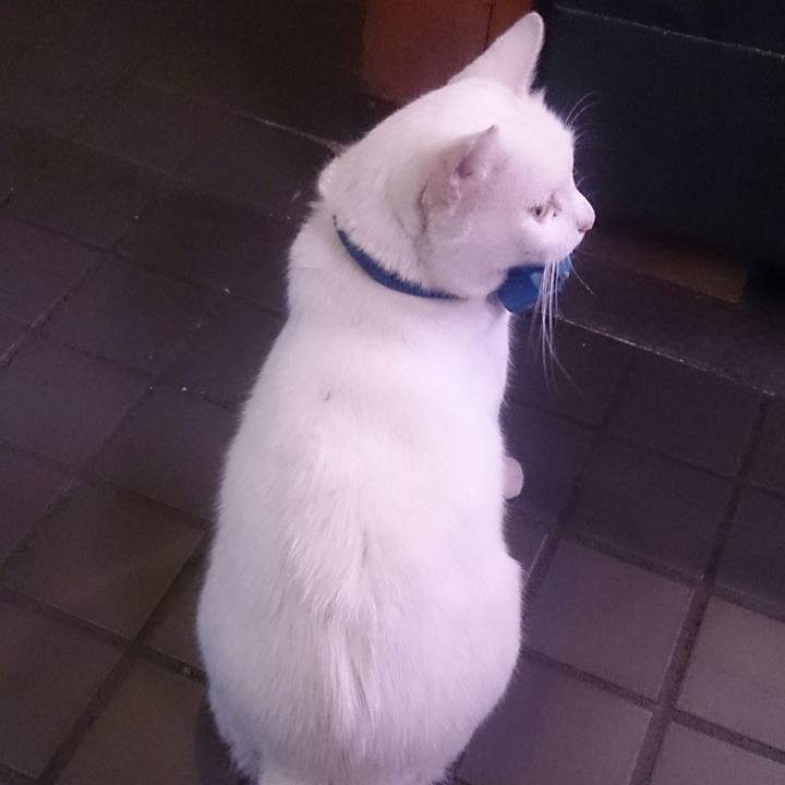 C81506d6 e7bd 4cdc 954c 98458a1b5dd8