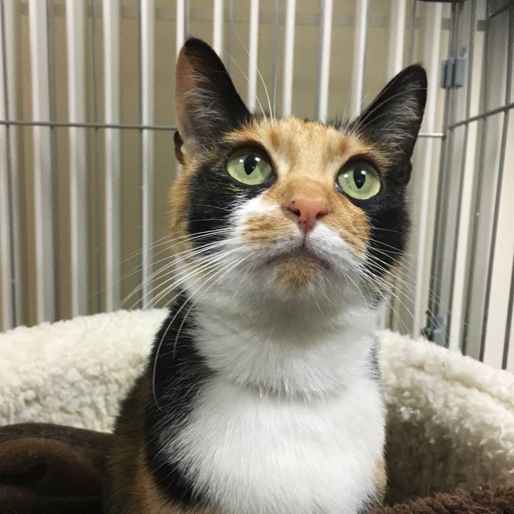 C815104a 41b5 414c b80e 12217c56930c