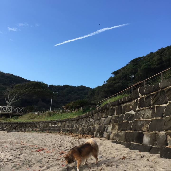 C8152942 024e 4a87 967d 09e11d58fce3