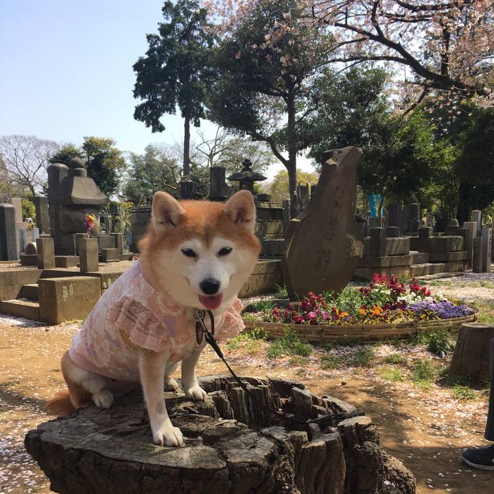 C815ad70 96b3 4d83 97f1 c7caa4da9ead