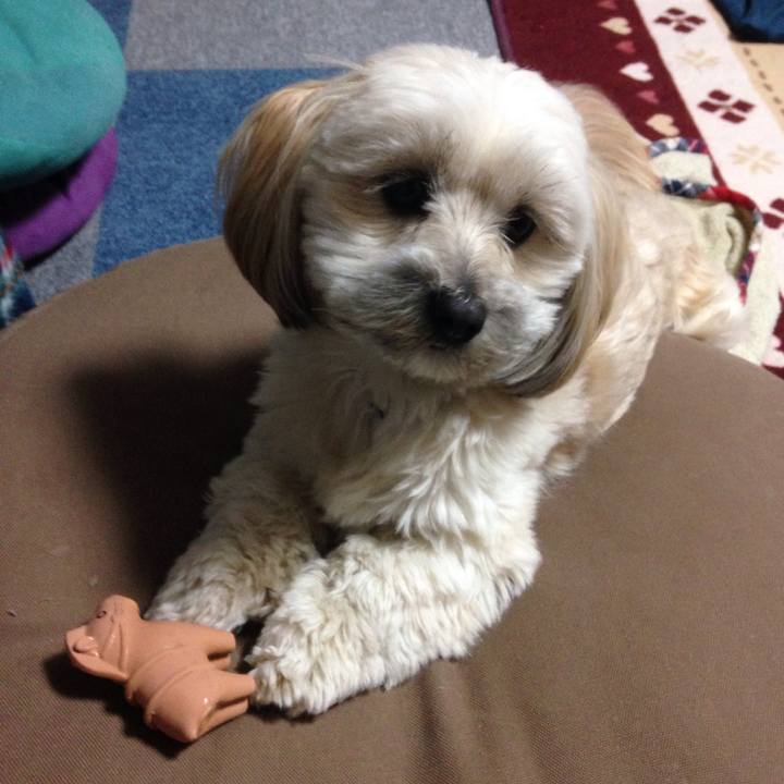 C815bead 22d9 4ea0 8e8d 85944a7cf68d