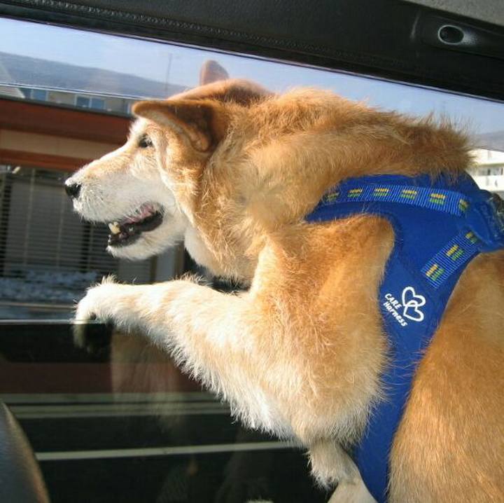 C815e172 8935 4ffc 8ef9 a4436ddffa2b