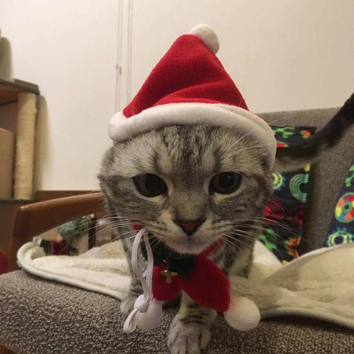 C815f71b fc9f 40df 9959 251bedf80d7b