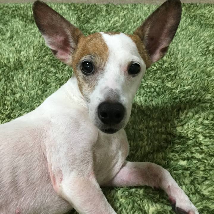 C8161ba8 d496 45da 875d 8212035ecaed